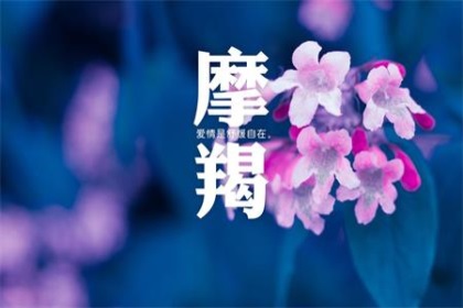 爱上摩羯座有多累