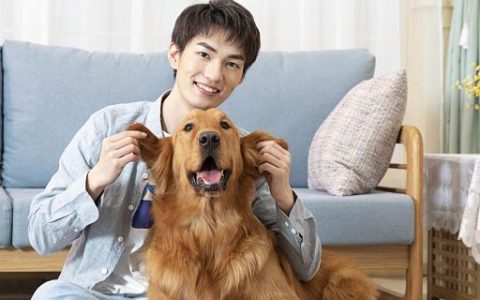 梦见狗啃骨头是什么意思 梦见狗啃骨头代表什么