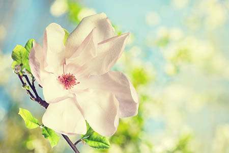 风水如何化解犯小人_犯小人的风水布局有哪些