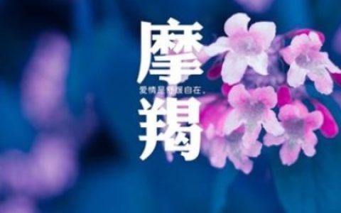 摩羯座的理想情人