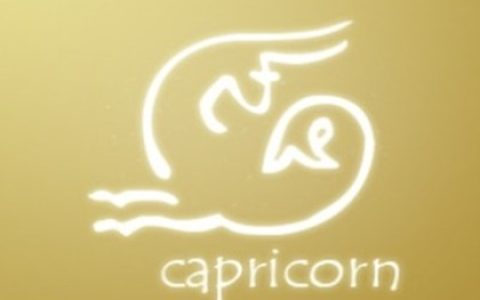 摩羯座的四象性