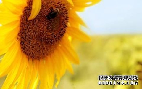 你的话别人相信几分呢