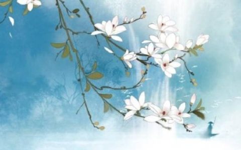 买房子选择哪个楼层好 安全方便最重要