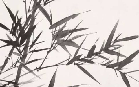房前屋后栽什么树最好 利于健康寓意吉祥