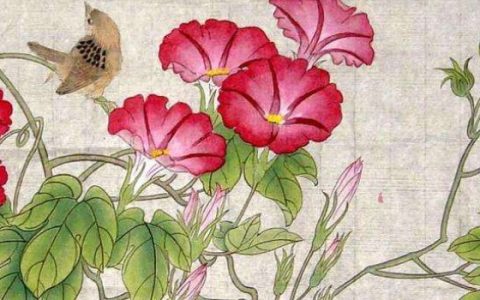 正月的禁忌与讲究 年初一不碰扫把