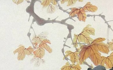 正月忌头腊月忌尾 要注意仔细管理金钱
