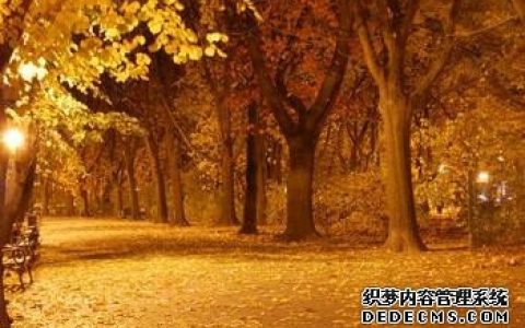秋季你会遇到哪种艳遇