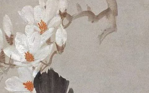 猫砂盆放门口影响风水吗 不影响要谨慎选择猫砂