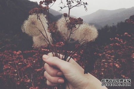 给你一个窥探未来的机会，你会如何选择