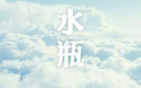 水瓶座的理想情人