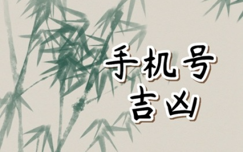 属猪手机号码尾数最好 手机号码组合磁场表