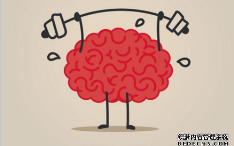 测你的脑龄是多少