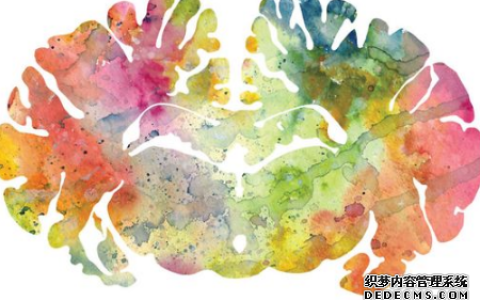 测你哪个小脑更加聪明