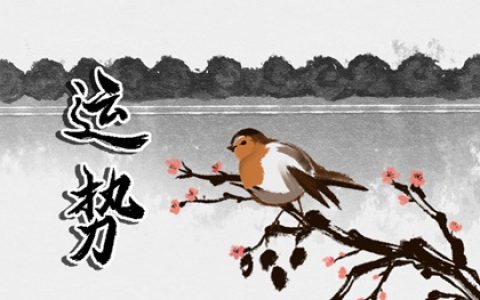 狂月天时 1217每日星座运势