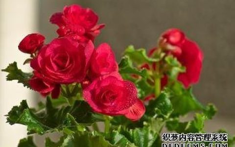 你最厌恶哪类的朋友