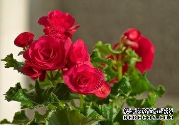 你最厌恶哪类的朋友