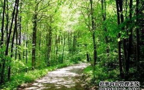 关键时候你会对谁绝情