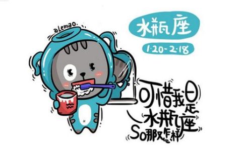 水瓶座是风象还是水象，水瓶座的特质是什么呢？