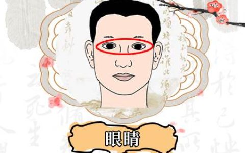 眼睛黑白分明的人命运如何,眼睛面相详解