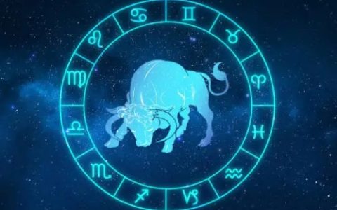 金牛座是土象星座吗