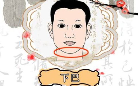 下巴长的人财运如何,面相下巴详解