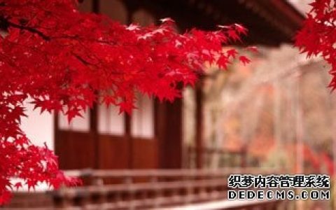面对谁的时候你最冷血