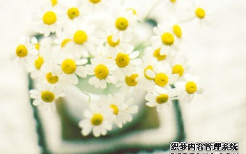 你面对危机是可以淡定应对吗