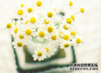 你面对危机是可以淡定应对吗
