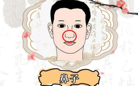 通过鼻子看是否穷相,穷相有哪些特征