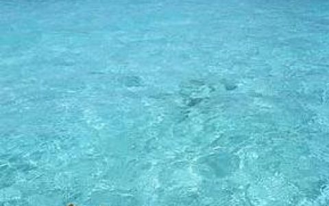 测测看你的财智