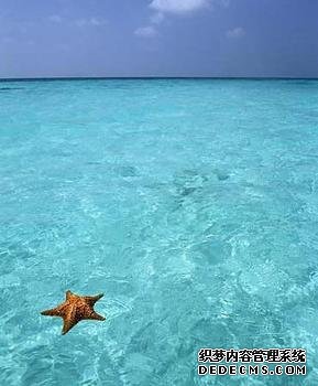 测测看你的财智