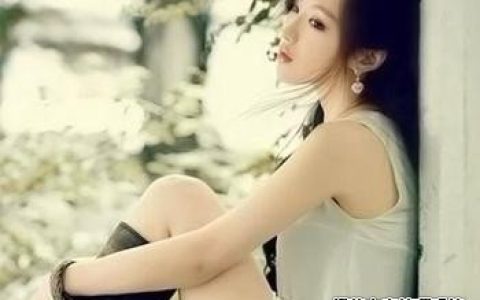 你的笨蛋程度有多高