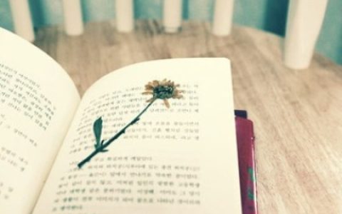 双鱼座是最聪明的吗