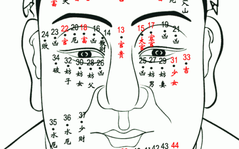 痣相图解大全男脸，男脸部痣图解大全