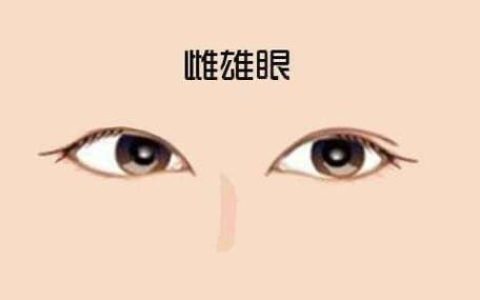 一内双一外双是什么眼面相