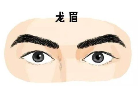 龙眉的男人命运，男人龙眉面相！