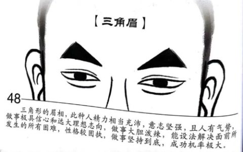 三角眉毛的男人好不好