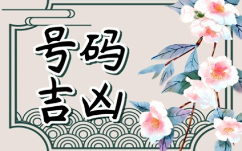 车牌号码吉凶 车牌号333好不好