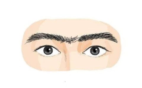 眉毛相连的男人怎么样