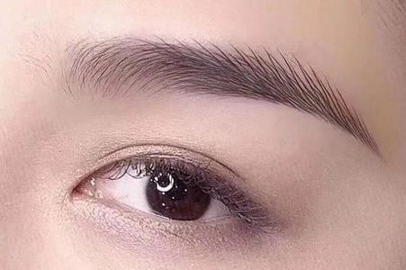 面相中眉毛杂乱代表什么