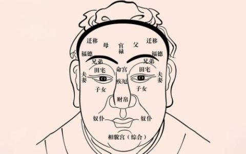 面相入门基础知识，面相学入门知识大全！