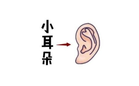 女人最命苦的五种耳朵