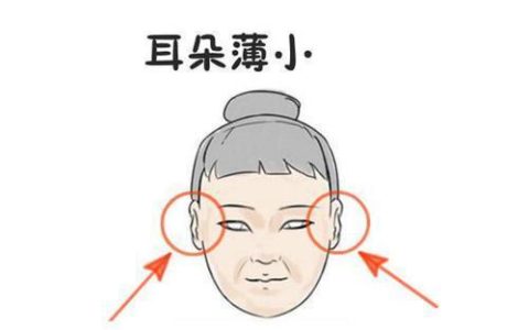 女人耳朵小的人命运怎么样