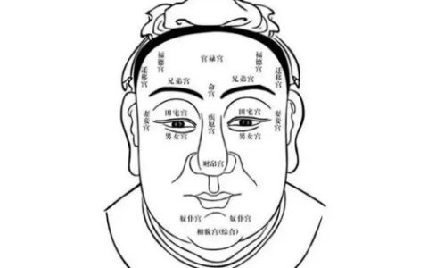 男人看面相大全图解