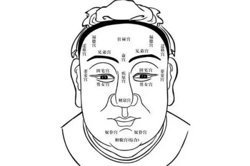 男人看面相大全图解