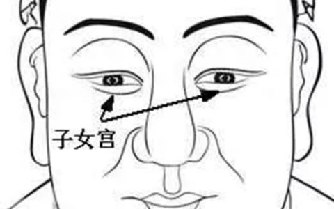 面相中子女宫在哪个位置