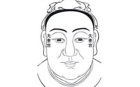 面相中夫妻宫在哪里