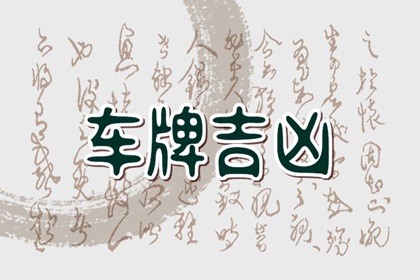 车牌号001到009哪个好	大吉大利的车牌号码