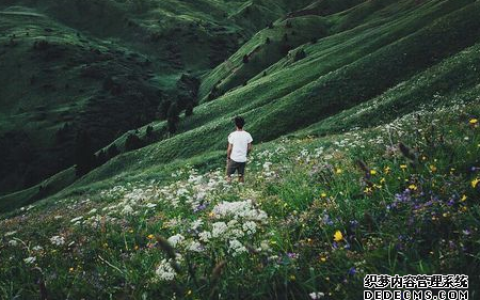 测你做事总是拖延的原因是什么