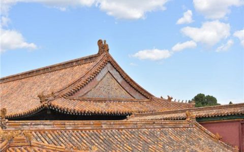 狮子座O型血的男女最佳配对